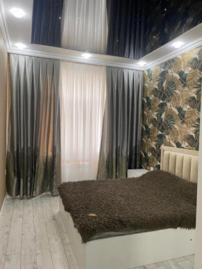 Terlan's Apartment